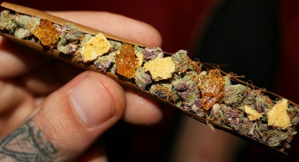 questionbluntz:  dis’ll make your head crack - part 2