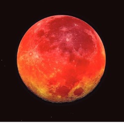 amazing-guava: “You’re basically seeing all of the sunrises and sunsets across the world, at once, being reflected off the surface of the moon” – explained by NASA