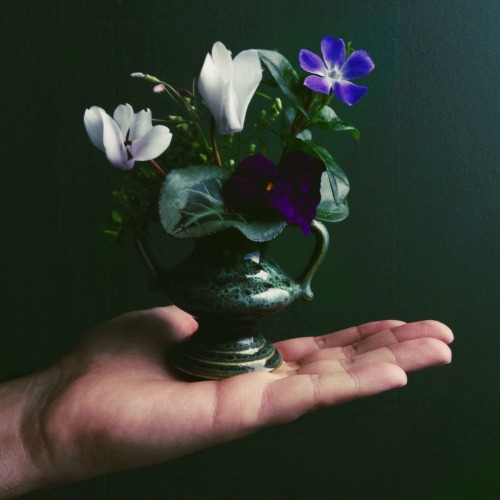 kenmarten:Winter Garden FloralsCyclamen, Vinca minor, Pansy and Wood Sorrel in a miniature vase