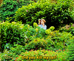 DAILY VAMPIRE ACADEMY