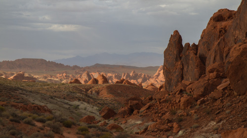 ”Life on Mars?”(Late with my Bowie reference but oh well. RIP)  Valley of Fire, NV.  May 2015