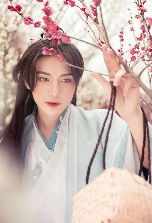 ziseviolet:A traditional Chinese Hanfu photo-story depicting an encounter amid peach blossoms, via 莲