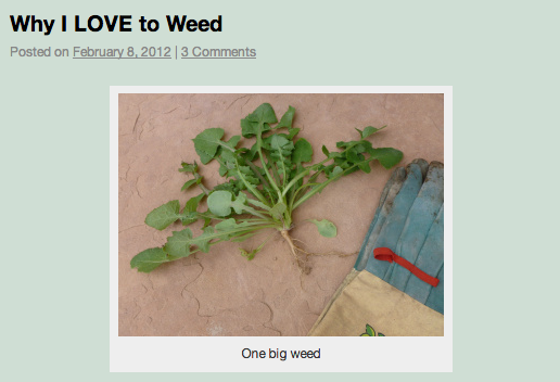 180mph:  i thought this would be a funny article about marijuana written by a random