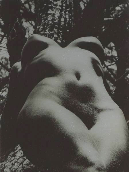 vivipiuomeno1:Lucien CLERGUE - Mers, Plages, Sources et Torrents, Arbres photo book, 1975 