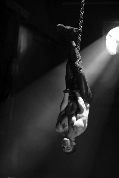hoscos:  Arrow
