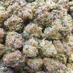 weedporndaily:  🍪🍪THIN MINT COOKIES🍪�