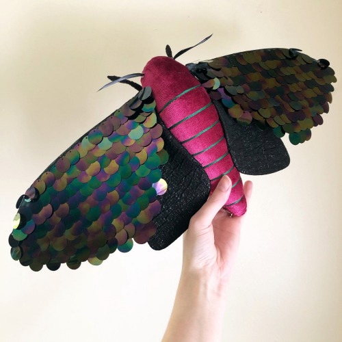 mother-entropy: cargopantsman: goopygoose: sosuperawesome: Moths and Bats Molly Burgess on Etsy @mot