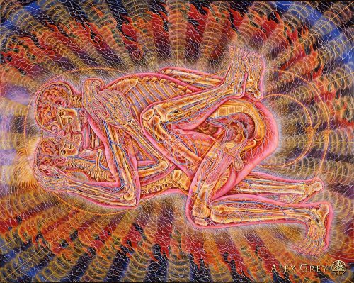 Porn setbabiesonfire:  Alex Grey photos