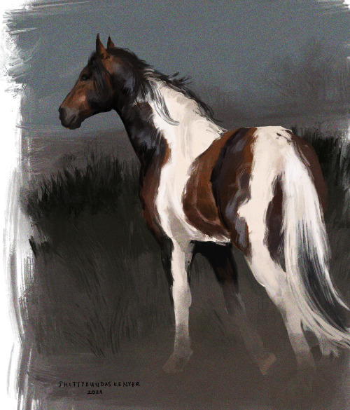 shittybundaskenyer:more quick studies but with horses and epilogue John this time 