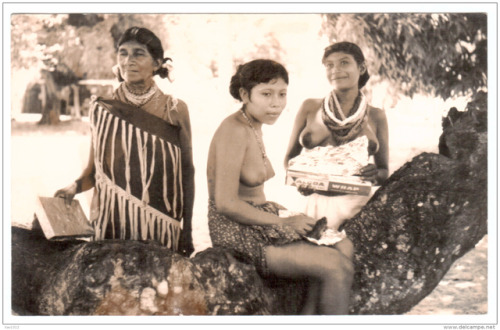 Porn photo A group of Surinamese women in the 1940s,