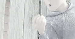 velvetblush:“My name is Jack Frost. How do I know that? The Moon told me so.But that was all he ever