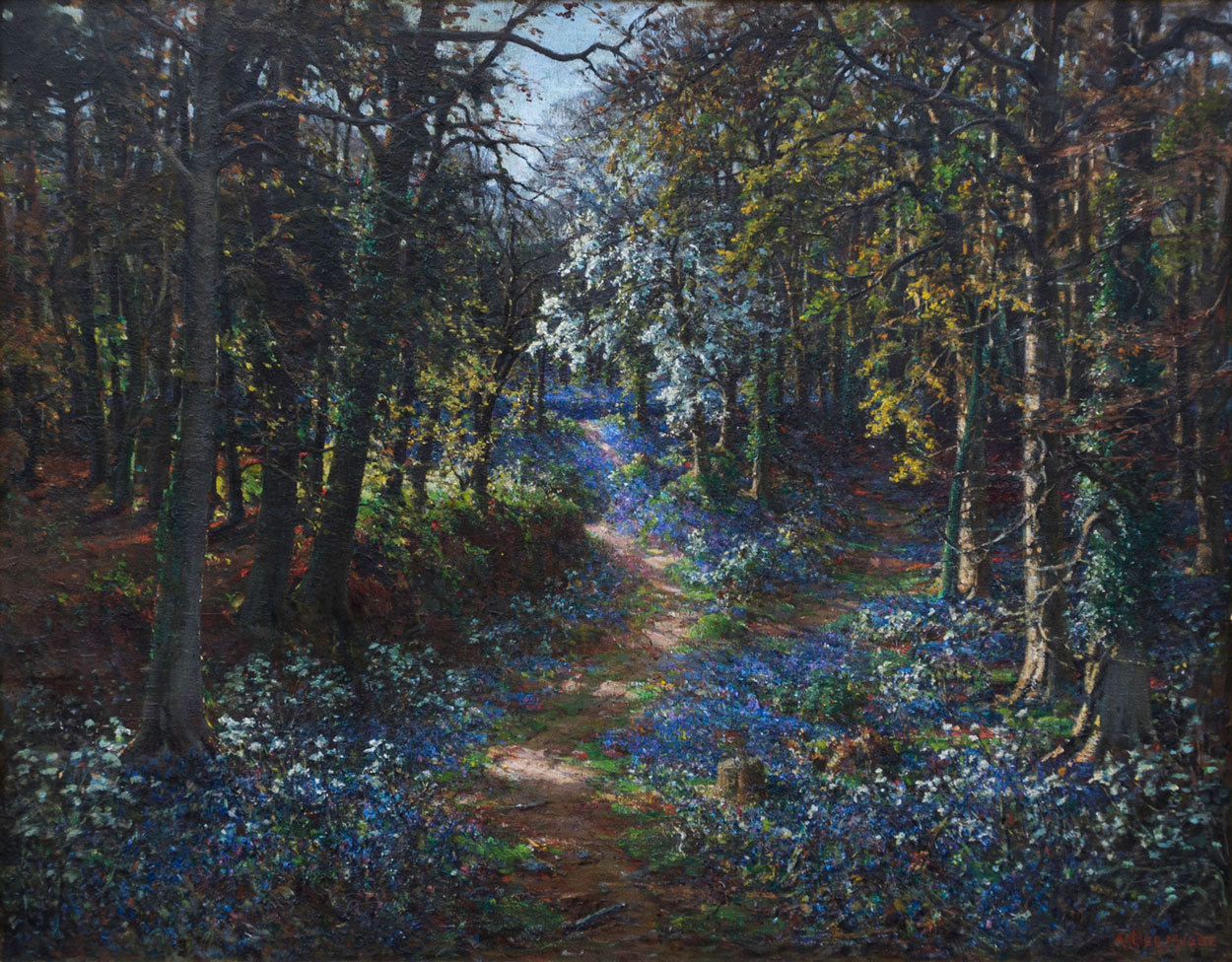 simena:    Arthur Meade  