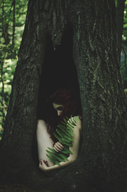 mirrorofthemagus:  Birth of a Dryad. Photos adult photos