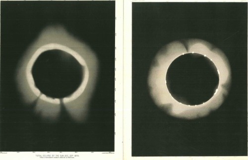 nobrashfestivity:Etienne Léopold Trouvelot (1827-1895)  Double Eclipse
