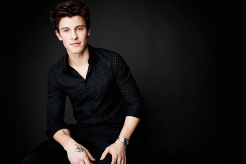 Shawn Mendes poses during the 60th Annual Grammy Awards for the I’m Still Standing: A Grammy Salute 