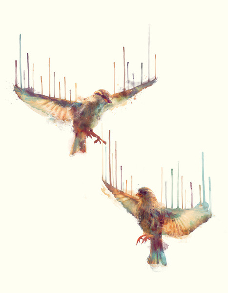 lohrien:  Illustrations by Amy Hamilton
