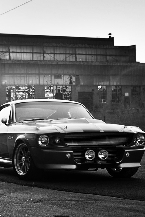 Full Throttle Auto