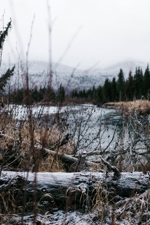 heyimchandler:  Winters first snow. 