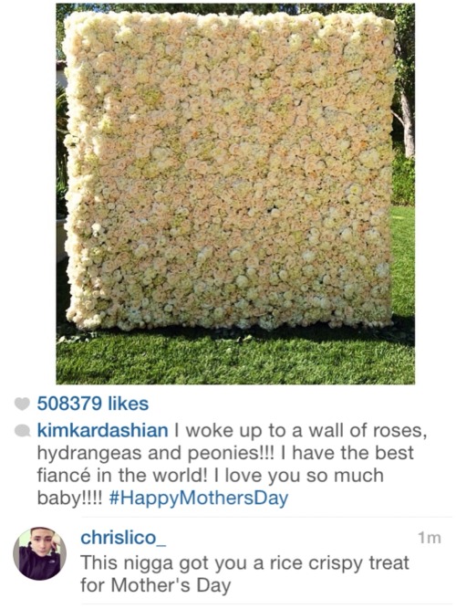 ecks-oe:  ohsobreezyjane:  blasianxbri:  lovelyandbrown:  YEEEEEEEEEEEET!!  a wall of flowers? not even a whole wall, just a piece of it?  “Rice Crispy Treat” lmaoooooooooooooooo !  I thought it was a rice crispy too 