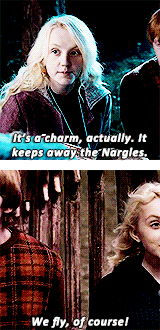 fyesharrypotter:  “I don’t know where