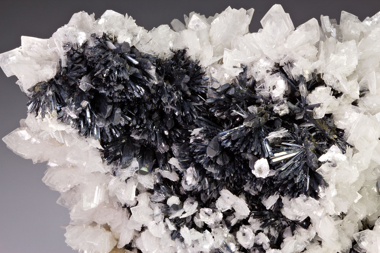 fuckyeahmineralogy:  Stibnite with Barite; Baia Sprie, Maramures Co., Romania