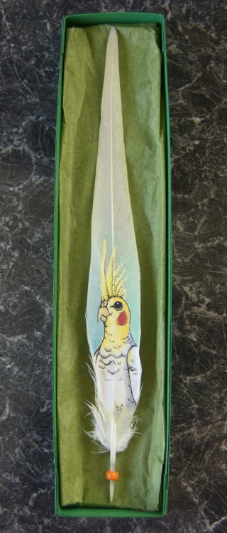 Acrylics on cockatiel featherA little more on the small side compared to the feathers I’m used