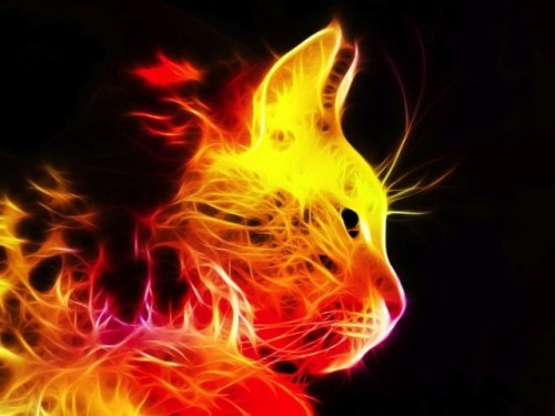 unknowneditors:  Digital illustrations by Minimoo64  The series of digital illustrations by the Canadian artist, known under the nickname minimoo64, isn’t directly related to mathematical fractals. She simply transforms usual animal portraits into glowing