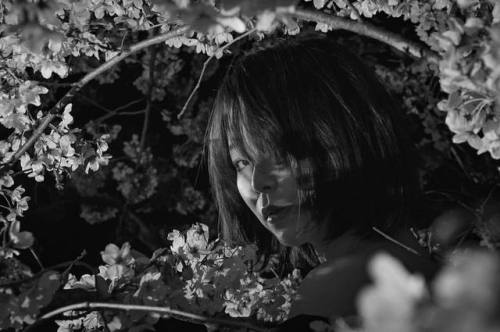 Model:夢花狂子さん@yumekakyouko#portrait #ポートレート #夜桜 #夜桜ポートレート #monochrome #instagood #pasha_magazine #闇の王