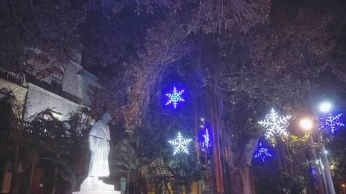 La Navidad y José Murphy #la_magua __________“#color #lights #blue #azzurro #plazasanfransisco