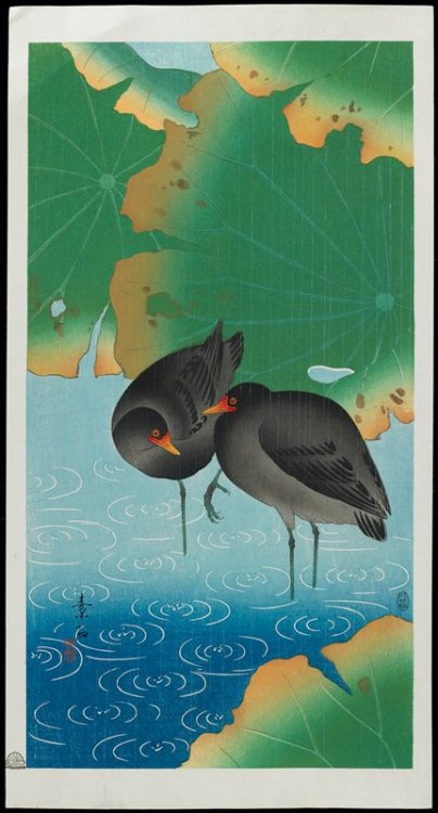 mia-japanese-korean: Moor Hen, Komori Soseki, c. 1928-1930, Minneapolis Institute of Art: Japanese a