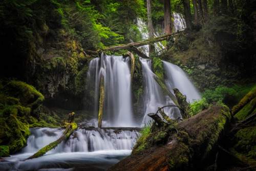 Panther Falls Chaos by Jon Dobyns