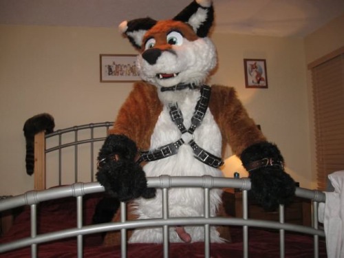 Here’s a sexy fox for ya. ;P