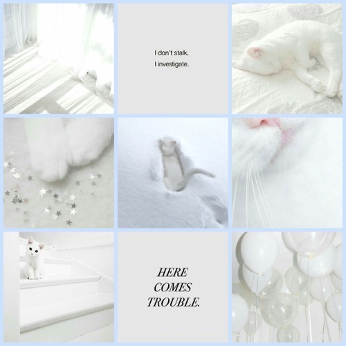 lux-scriptum: Character Aesthetics: Tiger so, um, to fix some inconsistencies in book canon i did so