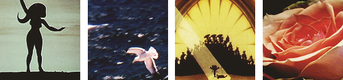 mermaidhotel:  They say that the world was built for two. Only worth living if somebody