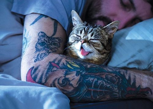 Netfilx and Chill