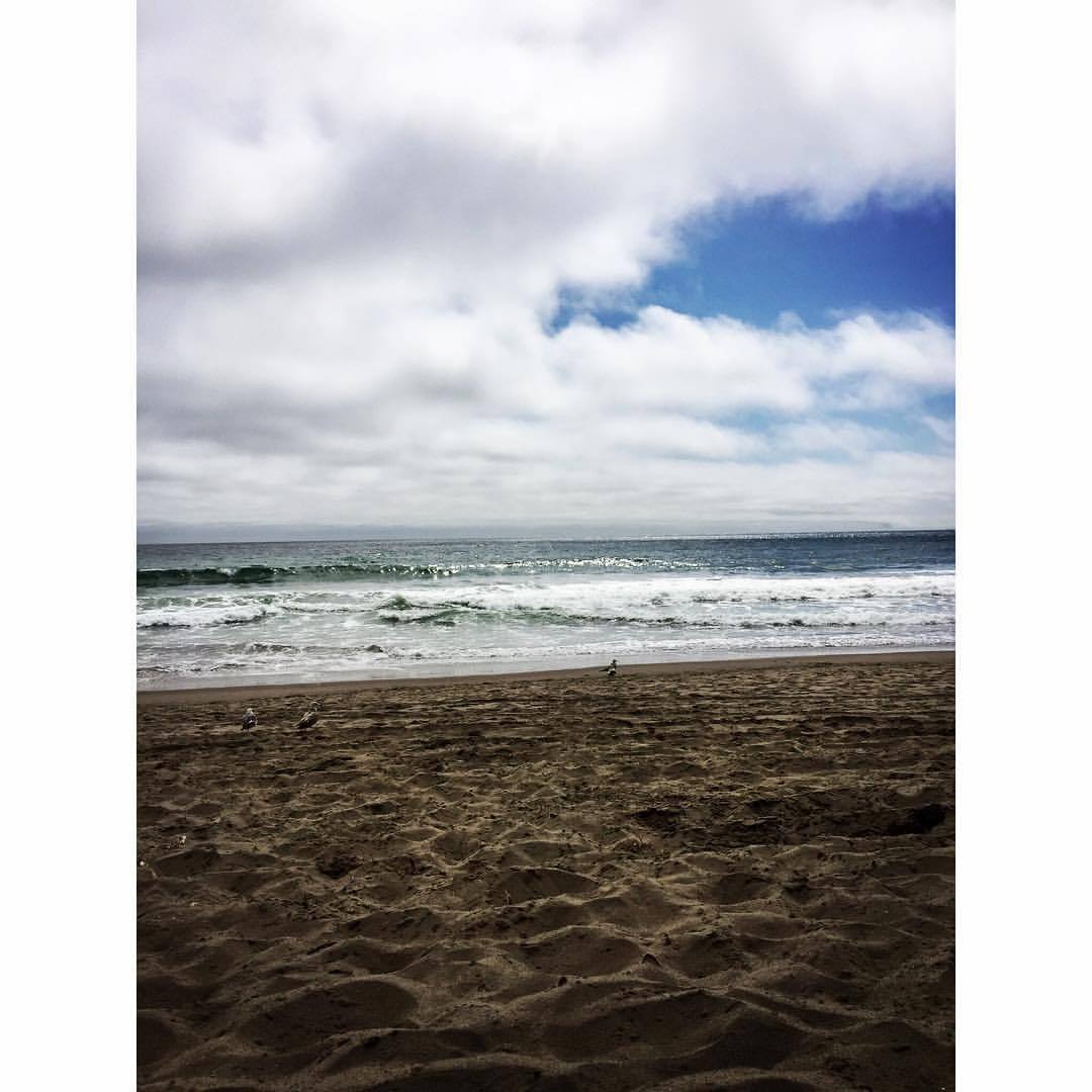 #beach #surf #gulls #waves #westcoast #surfers #relaxing #sun #clouds #sealife #marinelife