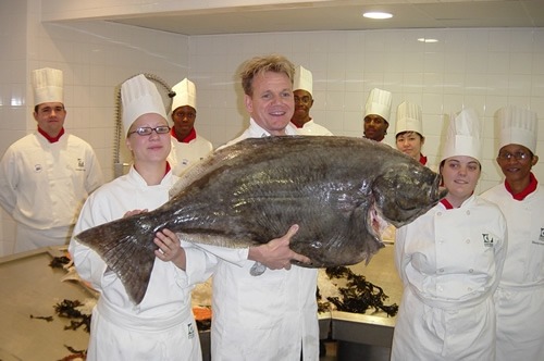 i-aint-bovvered-deactivated2014:  just in case you didn’t notice: gordon ramsay is an adorable little shit 