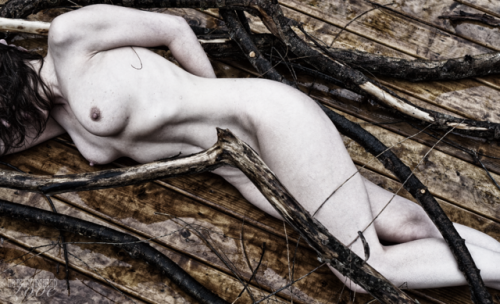 refined-love:These are the last from this set. A few turned out pretty cool.
