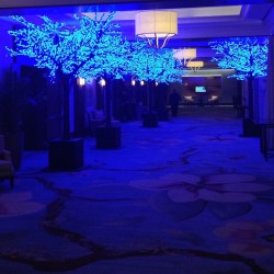djskee:  #nofilter blue trees inside, atmosphere on 100 tonight… and the resort is all ours for tonight! (at The Ritz-Carlton, Amelia Island)