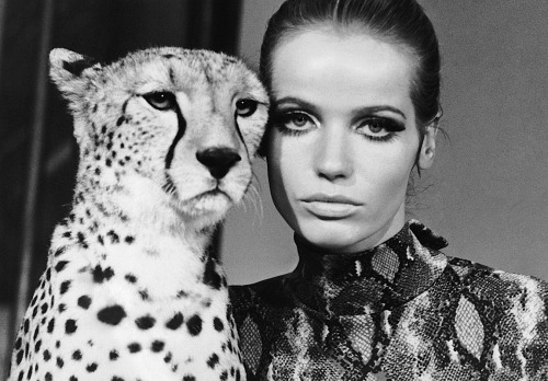 frackoviak: Veruschka by William KleinVogue July 1967