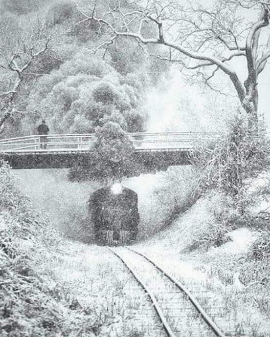 letsrideatrain:  