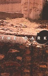 lukasstarscream:  Batman The Dark Knight Trilogy   Meh. Good beginning, great middle,