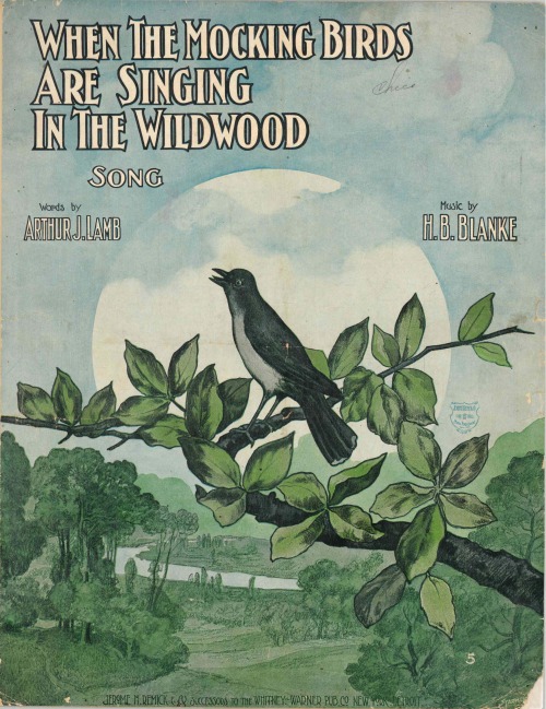 Cover illustration by William or Frederick StarmerCover from: Blanke, H. B. When the mocking birds a