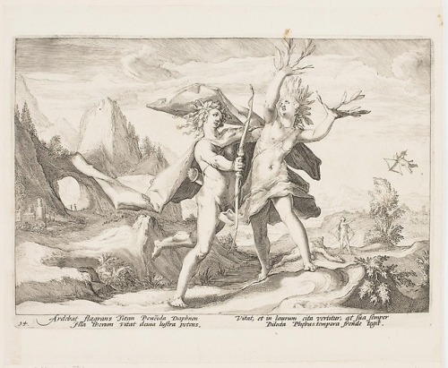 didoofcarthage:Coronis Changed into a Crow, Daphne Changed into a Laurel Tree, and Battus Changed in
