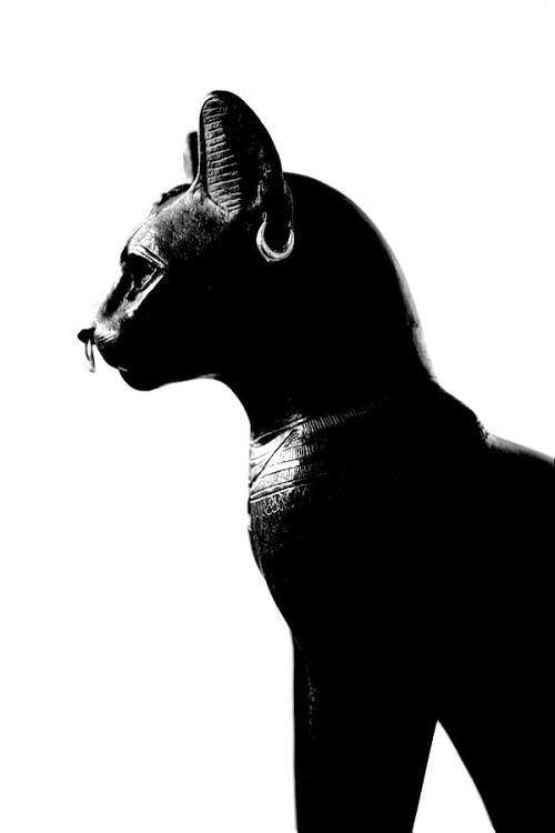 dopediamond:Dope…Bastet Egyptian Cat Statue by Gayer-Anderson