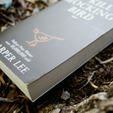 yabookers:  Books I need to read - To Kill a Mockingbird by Harper Lee 