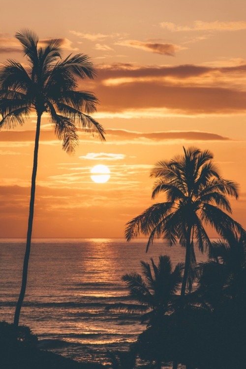 vincentmanara: Breathtaking sunrise in Kaua'i