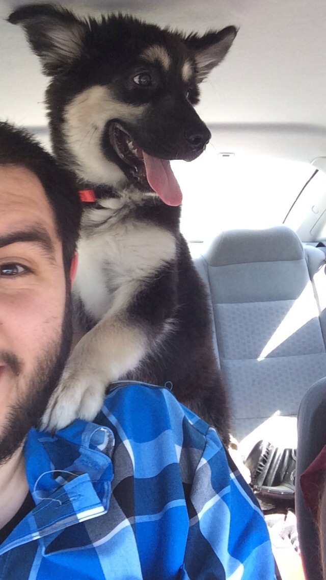 awwww-cute:  This was Link’s first car ride