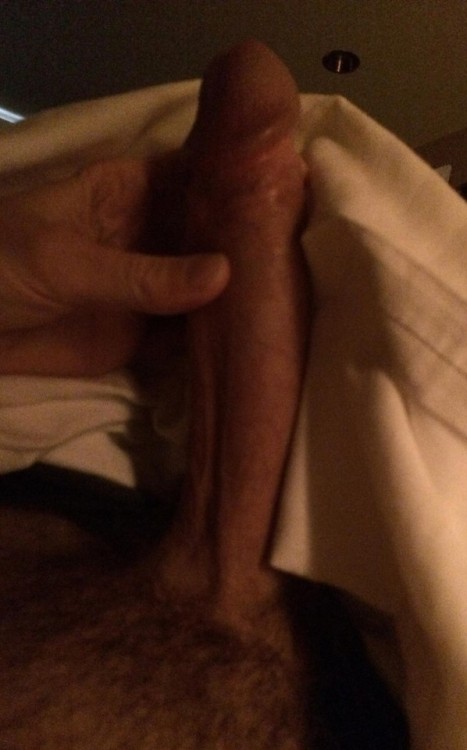 morning wood