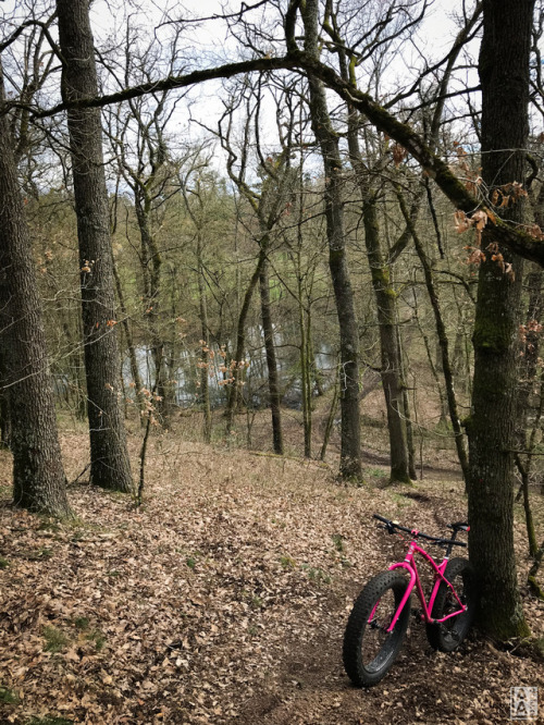 laaroutourne: Smell like spring spirit … Almost …